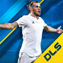 تنزيل  DLS 19